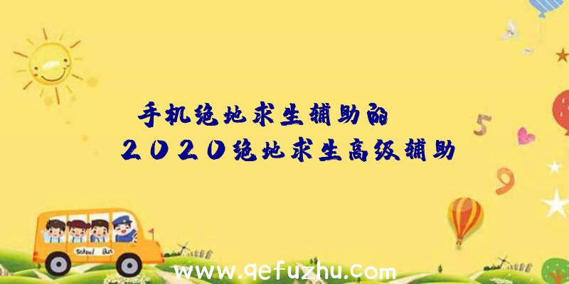 「手机绝地求生辅助的APP」|2020绝地求生高级辅助